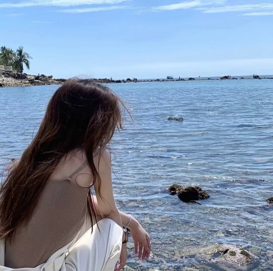 狗狗的旅程